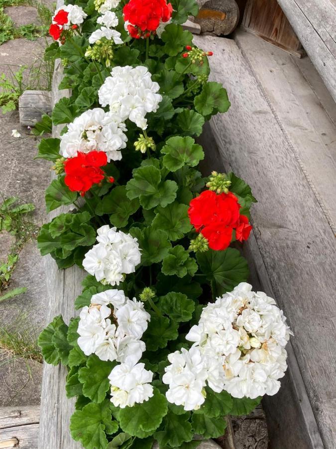 Almnest In Hochfuegen Mit Privat Spa 외부 사진